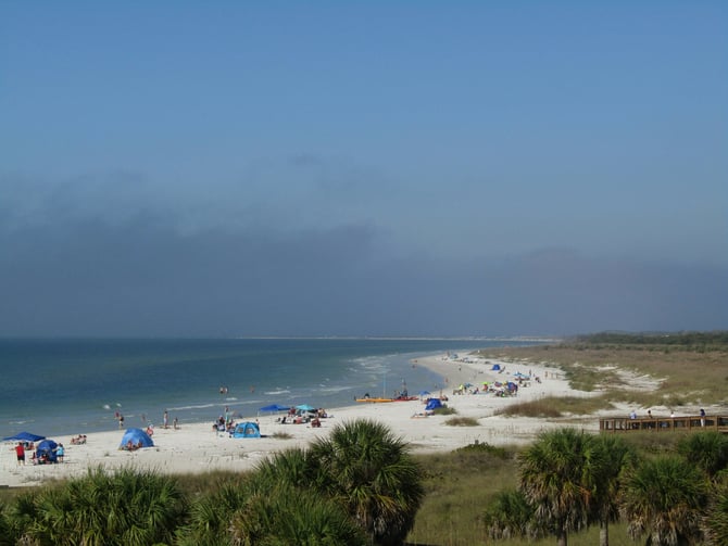 Fort De Soto beach with palm trees and beachgoers