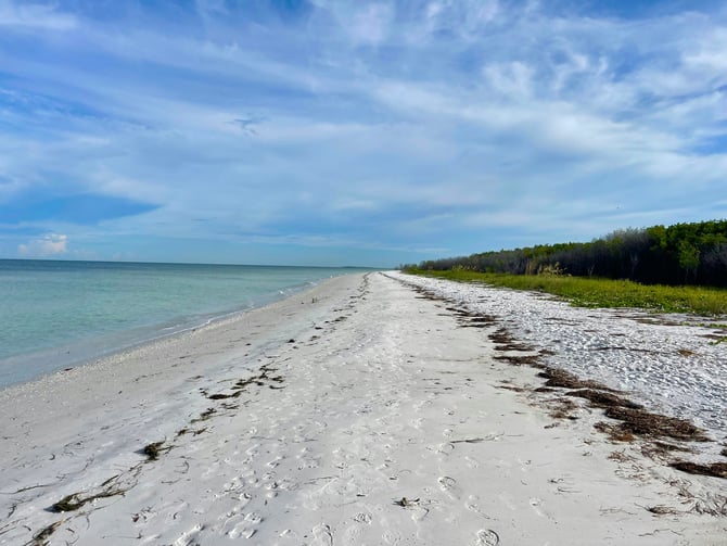 Long empty white sand beach at Honeymoon Island with clear Gulf water